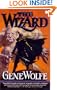The Wizard: Book Two of The Wizard Knight