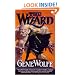The Wizard: Book Two of The Wizard Knight