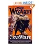The Wizard: Book Two of The Wizard Knight