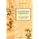 La gu�rison vibratoire : �veil �nerg�tique et �volution par les huiles essentiellespar Deborah Eidson