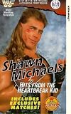 Review Silver Vision  / WWF - Shawn Michaels - Hits From The Heartbreak Kid