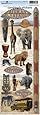 Paper House African Safari Cardstock Stickers