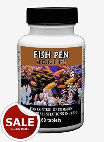 Real Fish Pen (F) - Premium Grade Aquatic 60 Count 250 Mg - Brand NEW (Usa)