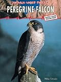 Animals Under Threat: Peregrine Falcon  (Animals Under Threat) (Animals under threat)