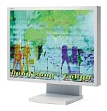 NEC MultiSync LCD1980SX 19" LCD Monitor (White)