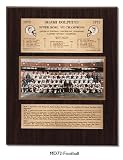 Miami Dolphins Large Healy Plaque - 1972 Super Bowl Champs