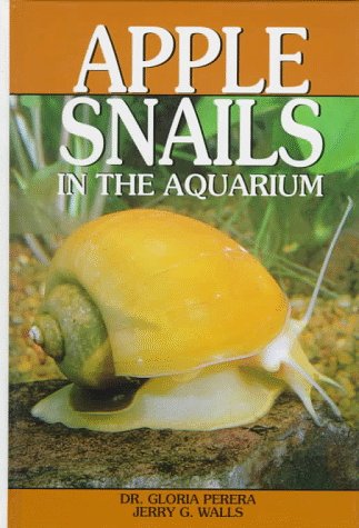 apple snails in the aquarium ampullariids  their identification care and breeding