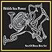 British Sea Power, Sea of Brass, 発売中