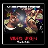 Video Vixen (Radio Edit Clean)