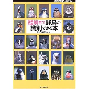 【クリックで詳細表示】絵解きで野鳥が識別できる本 (BIRDER SPECIAL)： 叶内 拓哉： 本