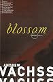 Blossom