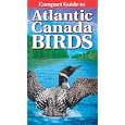 Compact Guide to Atlantic Canada Birds by  Roger Burrows and Krista Kagume