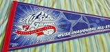 Shannon MacMillan & Tiffeny Milbrett dual autographed 2002 WUSA All-Star Game pennant