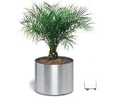 Blomus 65108 planter on wheels 23.6 inch