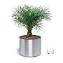 Blomus 65108 planter on wheels 23.6 inch