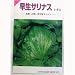 玉揃いが良い!　早生サリナス(渡辺採種場)　数量:2ml