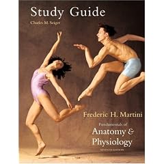 Study Guide: Fundamentals of Anatomy and Physiology