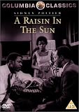 A Raisin In The Sun [UK IMPORT] - Sidney Poitier