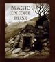 MAGIC IN THE MIST