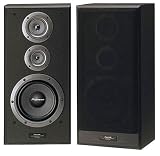 Pioneer CS-5070 Lautsprecher-Paar schwarz