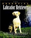 The Essential Labrador Retriever (Essential Guide)