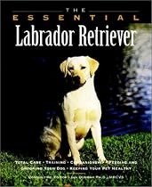 The Essential Labrador Retriever (Essential Guide)
