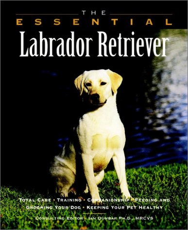 City Travel Guides Discounted  Books : The Essential Labrador Retriever (Essential Guide)