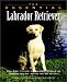 Book The Essential Labrador Retriever (The Essential Guides)