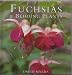 Fuchsias and Bedding Plants (Gardening Guides)