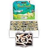 GeoCentral Shark Teeth