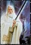 The Lord of the Rings - The Two Towers Poster Print, 27x39