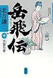 岳飛伝 十 天雷の章