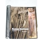 Human Anatomy : Lab Manual and Workbook by  Mark Nielsen