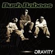 Gravity
