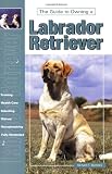 Guide to Own Labrador Retrievr (Re Dog)