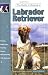 Guide to Own Labrador Retrievr (Re Dog)