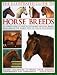 The Illustrated Guide to Horse Breeds: A Comprehensive Visual Guide to the Horses and Ponies of the World, with Over 300 Colour Photographs (The Illustrated Guide to)