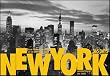New York: 365 Days: From the Photo Archives of the "New York Times"