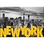 New York: 365 Days: From the Photo Archives of the "New York Times"
