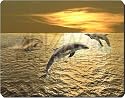 DOLPHINS at GOLD SEA SUNSET Mouse Mat