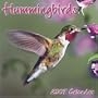 Hummingbirds 2007 Wall Calendar