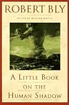 A Little Book on the Human Shadow
