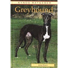 Greyhound