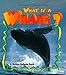 What is a Whale? (The Science of Living Things)