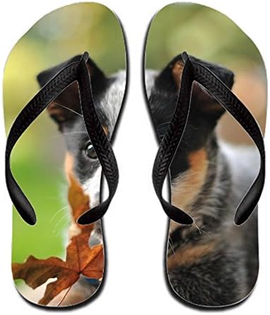 Animal Puppy Footwear Women Rubber 7 B(m) Us Rosaliwalt Sandals