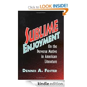 Sublime Enjoyment: On the Perverse Motive in American Literature (Cambridge Studies in American Literature and Culture)