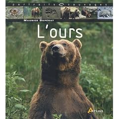 L'ours