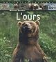 L'ours
