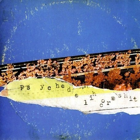 Psychedelic Horseshit - Magic Flowers Droned