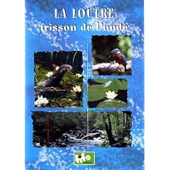 La loutre frisson de l'onde
